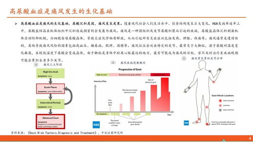 醫(yī)藥行業(yè)深度報(bào)告 高尿酸血癥與痛風(fēng)行業(yè)全景及國內(nèi)貿(mào)易代理前景