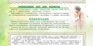 智慧森林 童裝品牌新勢力，攜手遠大恒通共創未來