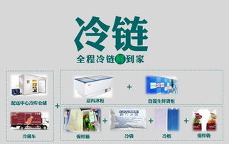 壹天一參史紅新 破解生鮮O2O困局，打造高端滋補品國內貿易代理新標桿